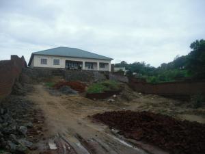 only a little over $1000.00 US dollars is needed to complete the instillation of solar power, making the new home safe for the STEKA family to move into! Can you help us reach this goal? Contact Heather Tatusko to learn about donating to this amazing children's home working to save street children in Malawi!